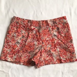 Ann Taylor loft shorts size 00